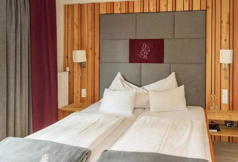 Habitació Superior amb Terrassa, Lärchenhof
