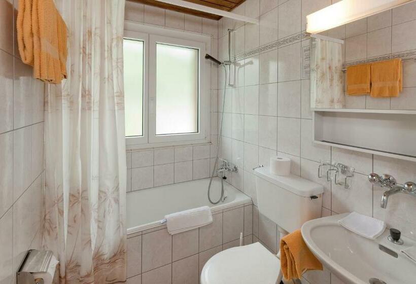 חדר סטנדרט, Park