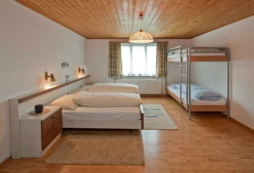 Habitació Estàndard, Park