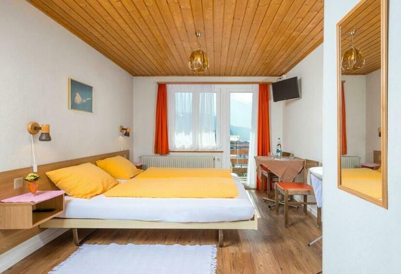 חדר סטנדרט, Park