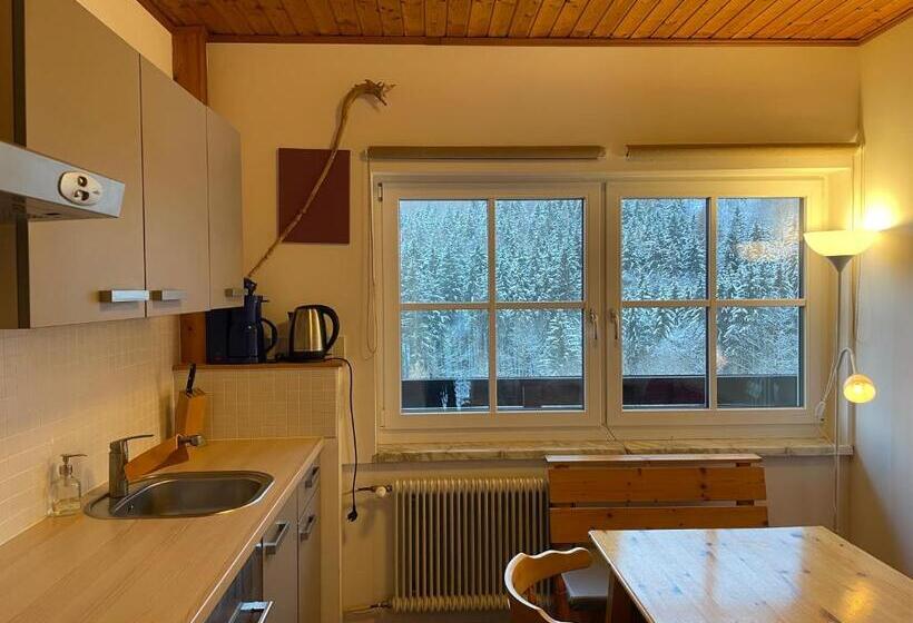 Апартаменты 2 Спальни, Pension 's Waldeck