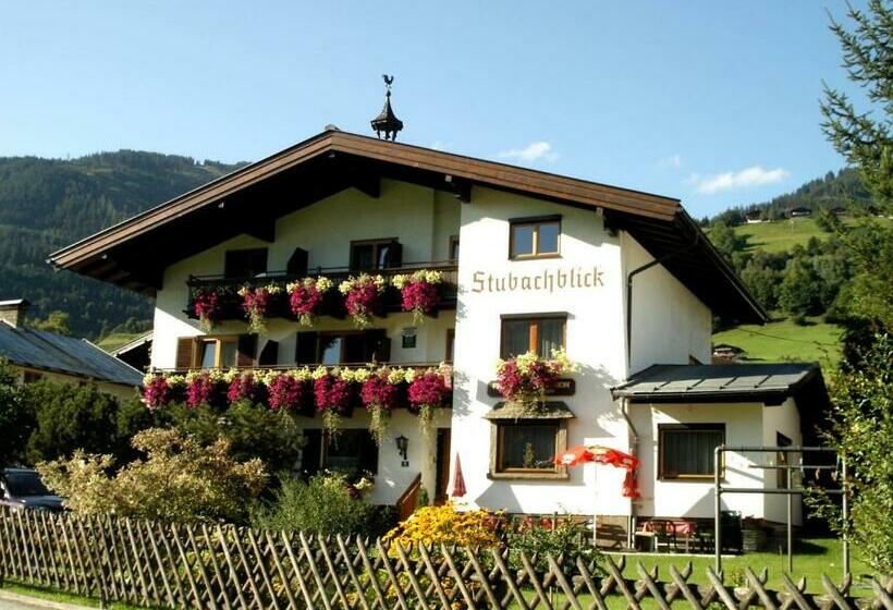 バスルーム共有のシングルスタンダード, Pension Stubachblick