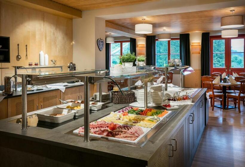 Номер Стандарт Индивидуальный, Jufa Hotel Mariazell