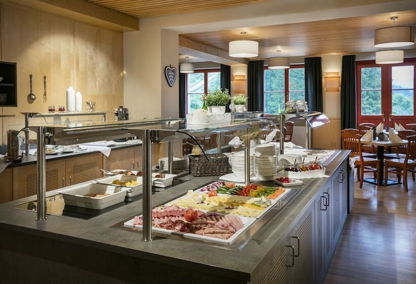 غرفة قياسية فردية, Jufa Hotel Mariazell