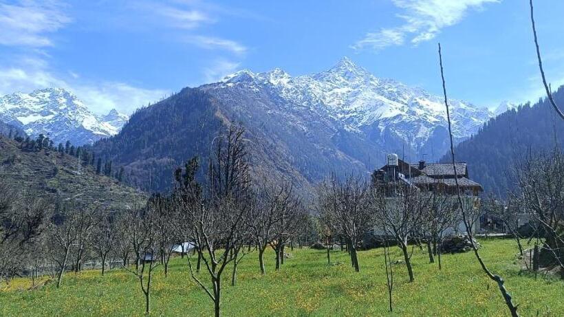 غرفة قياسية, Sunshine