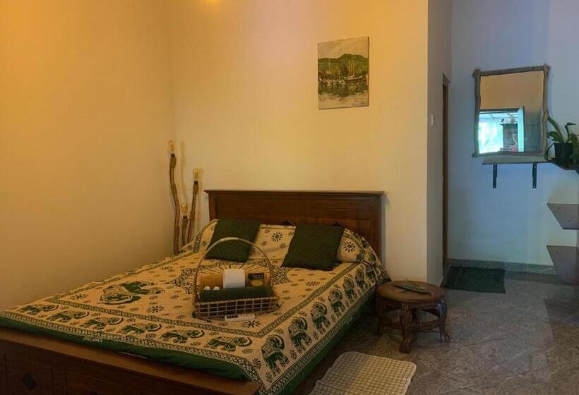 Номер Стандарт, The Escape With Jadeon