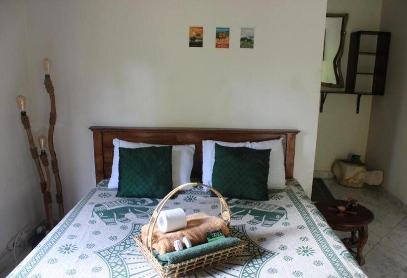 Номер Стандарт Вид на Сад, The Escape With Jadeon