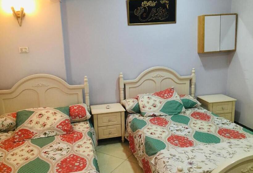 اتاق استاندارد, Aswan Nile View