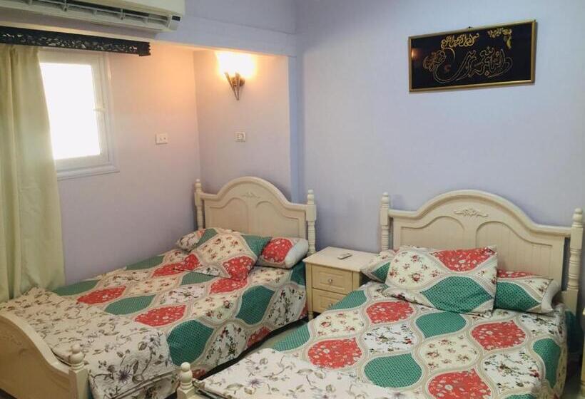 اتاق استاندارد, Aswan Nile View