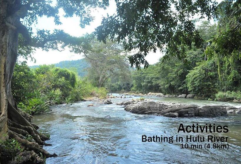 Номер Стандарт Трехместный, Kings Green Castle Kandy