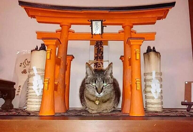 استودیوی استاندارد, Miyajima Guest House Mikuniya   Vacation Stay 72591v