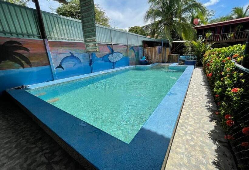 اتاق استاندارد, Malinche Hostel