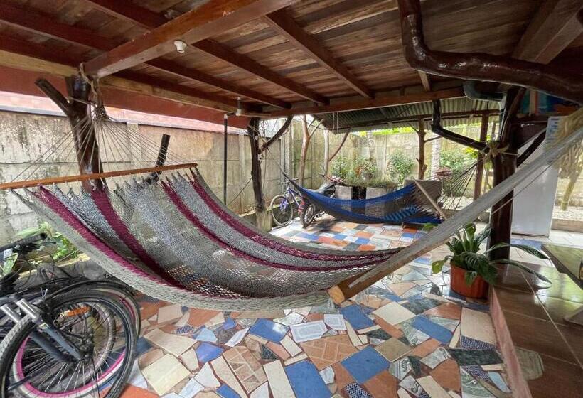 اتاق استاندارد, Malinche Hostel