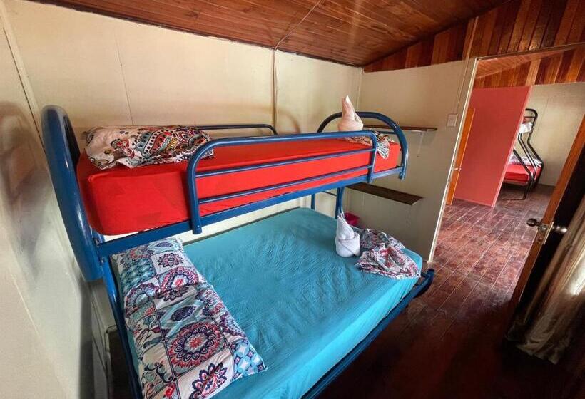 تختخواب در اتاق مشترک, Malinche Hostel