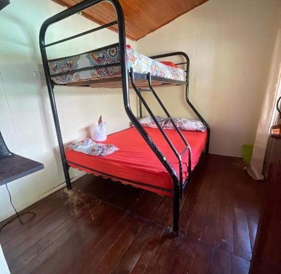 تختخواب در اتاق مشترک, Malinche Hostel