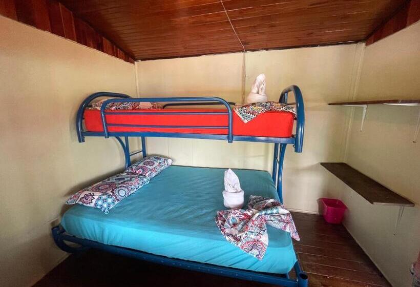 تختخواب در اتاق مشترک, Malinche Hostel