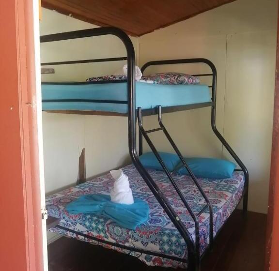 공동 객실, Malinche Hostel