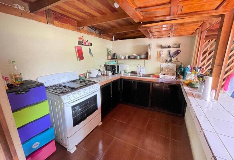 تختخواب در اتاق مشترک, Malinche Hostel