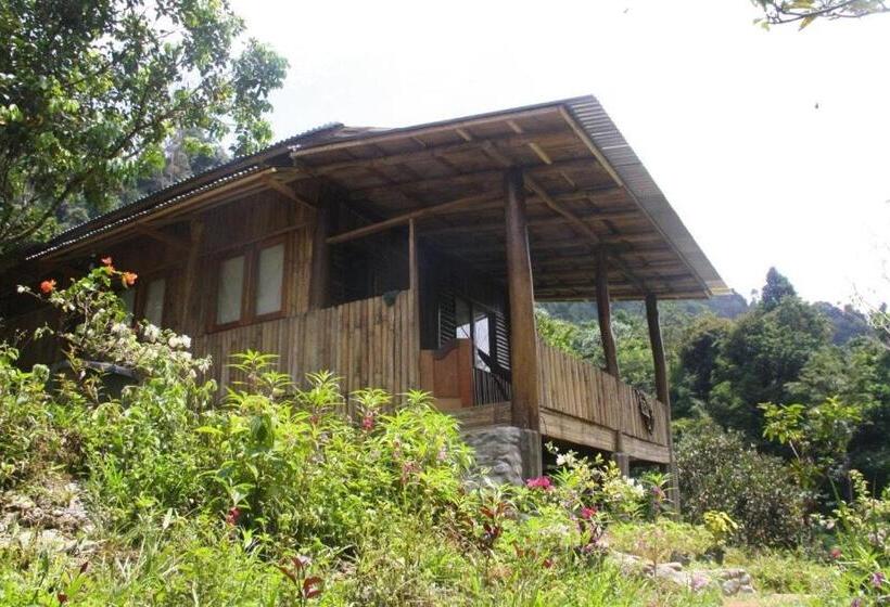 ガーデンビューのスタンダードバンガロー, Back To Nature Ecotourism