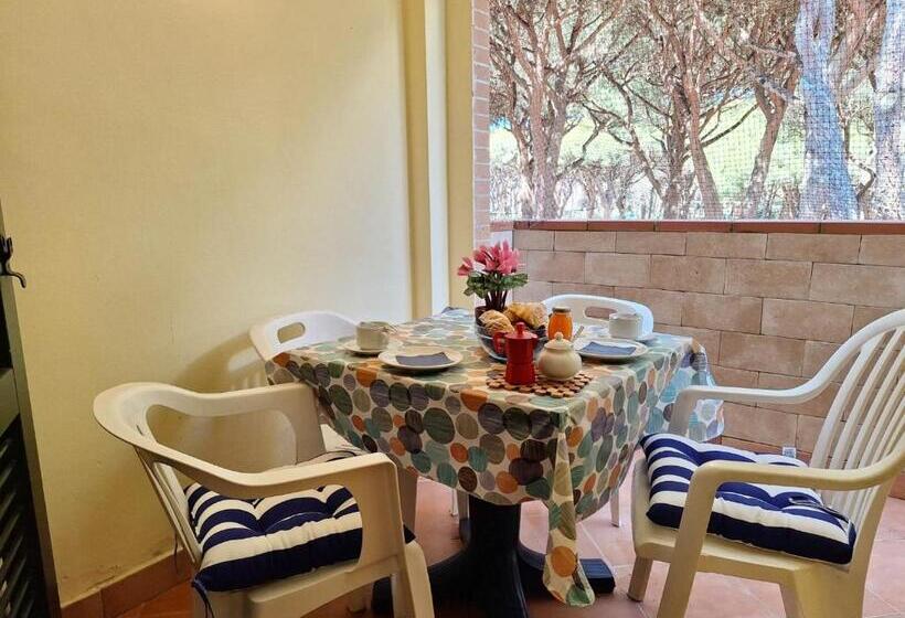 آپارتمان 1 خوابه با تراس, Pineta Azzurra