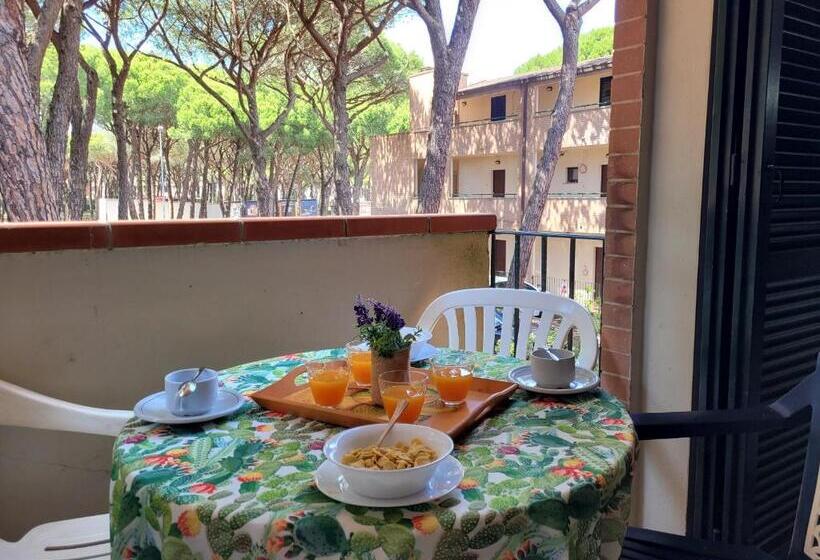 آپارتمان 1 خوابه با تراس, Pineta Azzurra