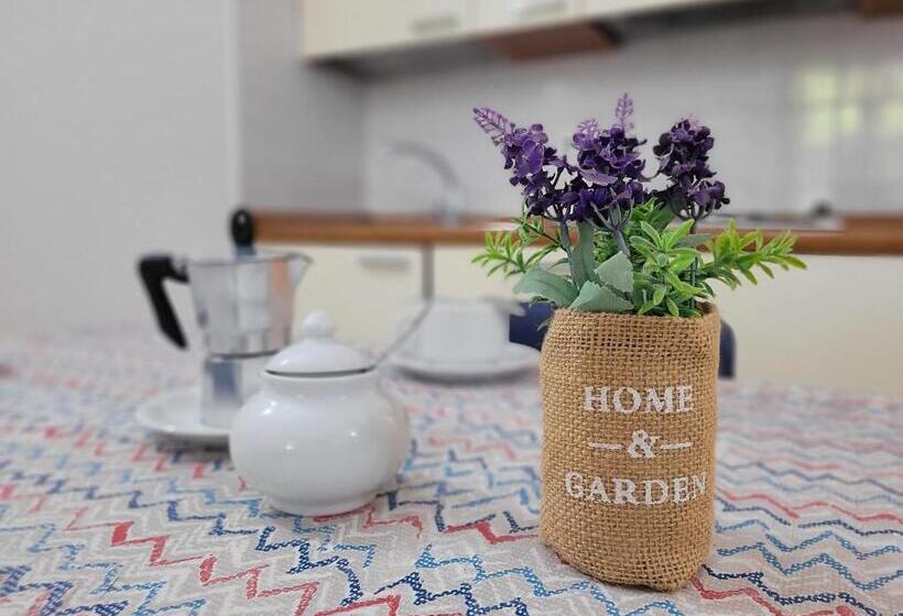 استودیو استاندارد با چشمانداز باغ, Pineta Azzurra