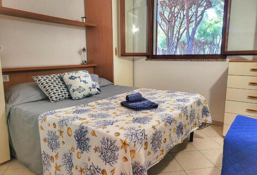 استودیوی استاندارد, Pineta Azzurra