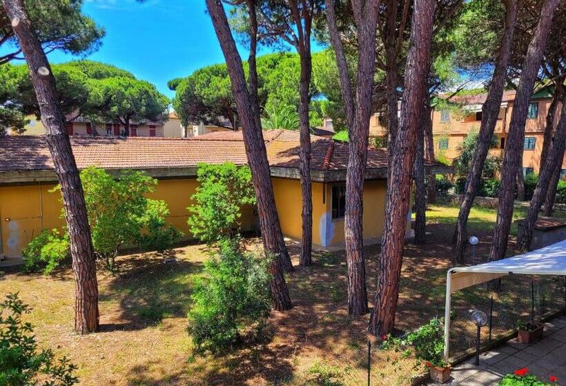 آپارتمان 1 خوابه با تراس, Pineta Azzurra