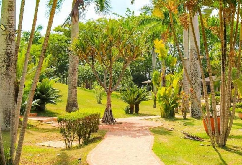 بنجلو قياسى مطلّ علي الحديقة, Resort Das Oliveiras