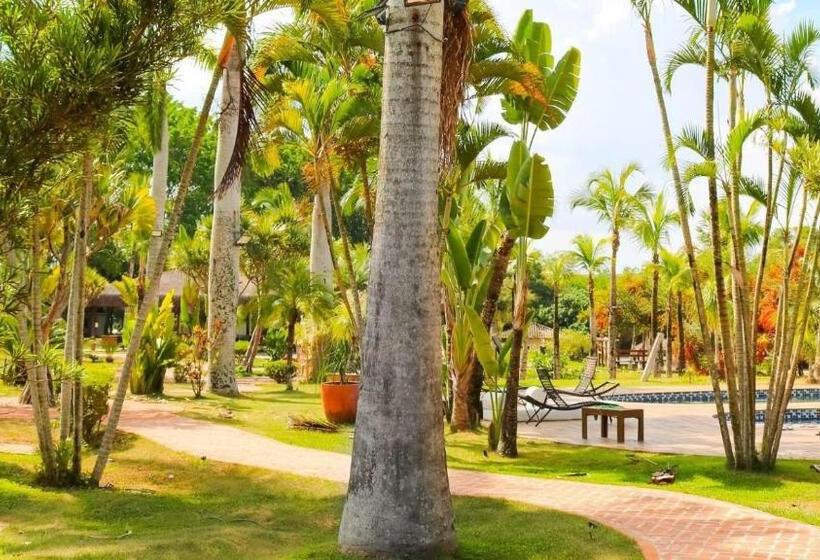 스탠다드 방갈로 정원 전망, Resort Das Oliveiras