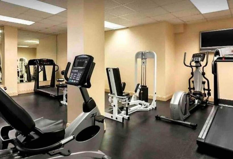 Standart Stüdyo, Slice Of Sarasota S Paradise Sarasota Bayfront