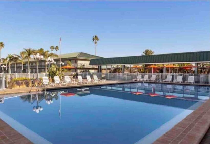 Standart Stüdyo, Slice Of Sarasota S Paradise Sarasota Bayfront