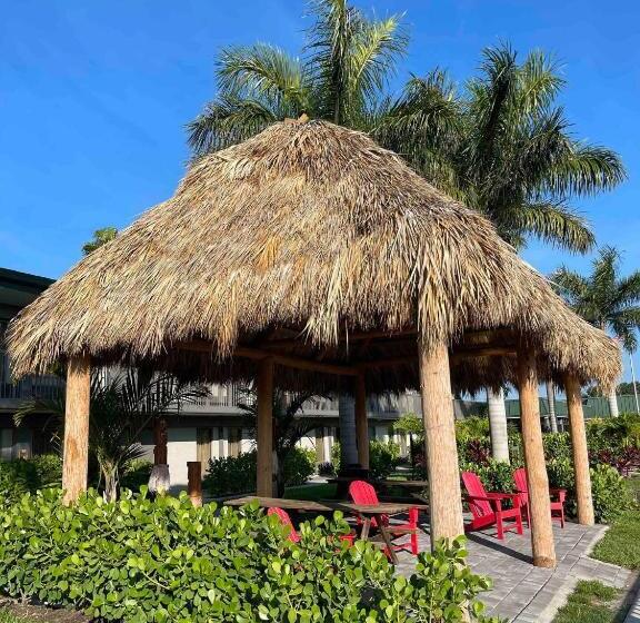 Standart Stüdyo, Slice Of Sarasota S Paradise Sarasota Bayfront