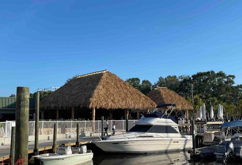 Standart Stüdyo, Slice Of Sarasota S Paradise Sarasota Bayfront