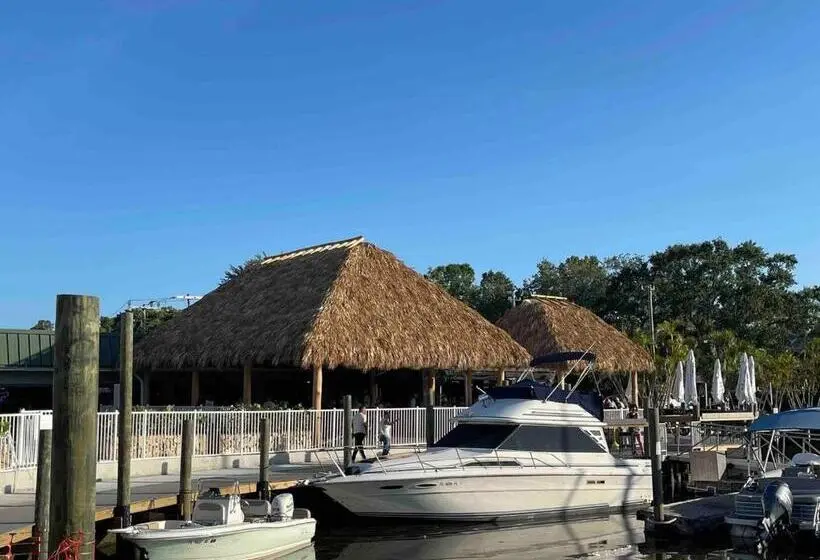 スタンダードスタジオ, Slice Of Sarasota S Paradise Sarasota Bayfront
