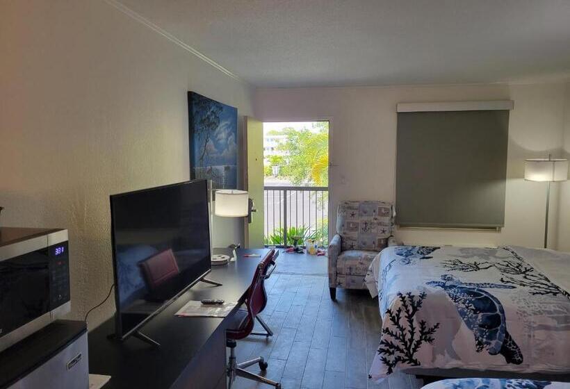 Standart Stüdyo, Slice Of Sarasota S Paradise Sarasota Bayfront