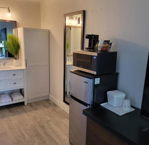 Standart Stüdyo, Slice Of Sarasota S Paradise Sarasota Bayfront