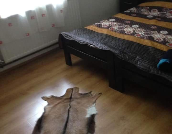 اتاق ساده سه‌ نفره, Smestaj Novakovic,zdrelo