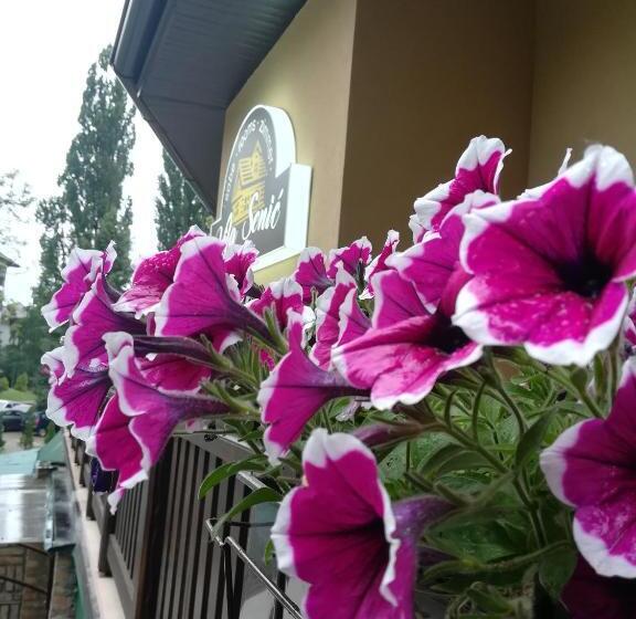 سوییت, Vila Senić