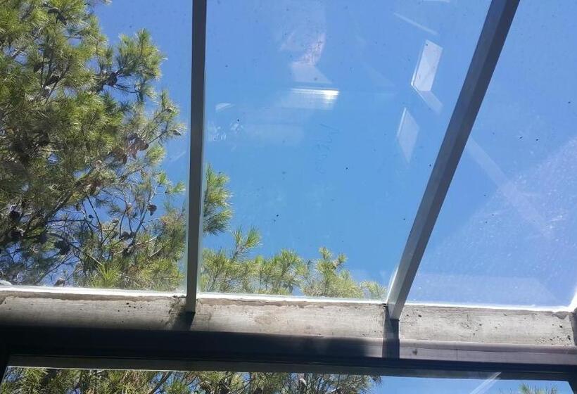 דירת חדר דלוקס, Ch1pinamar