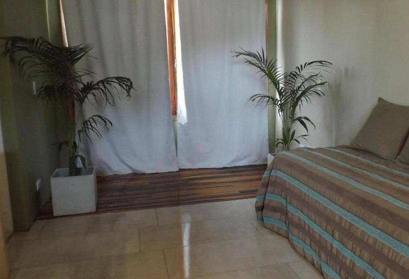 דירת חדר, Ch1pinamar