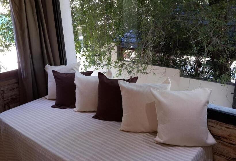 דירת שני חדרים, Ch1pinamar