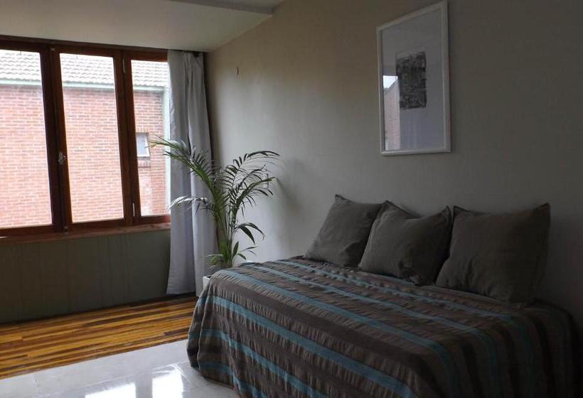 דירת חדר, Ch1pinamar