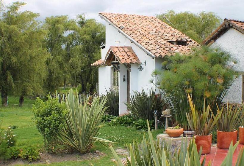 Номер Стандарт, Casitas Barro Iza Boyaca