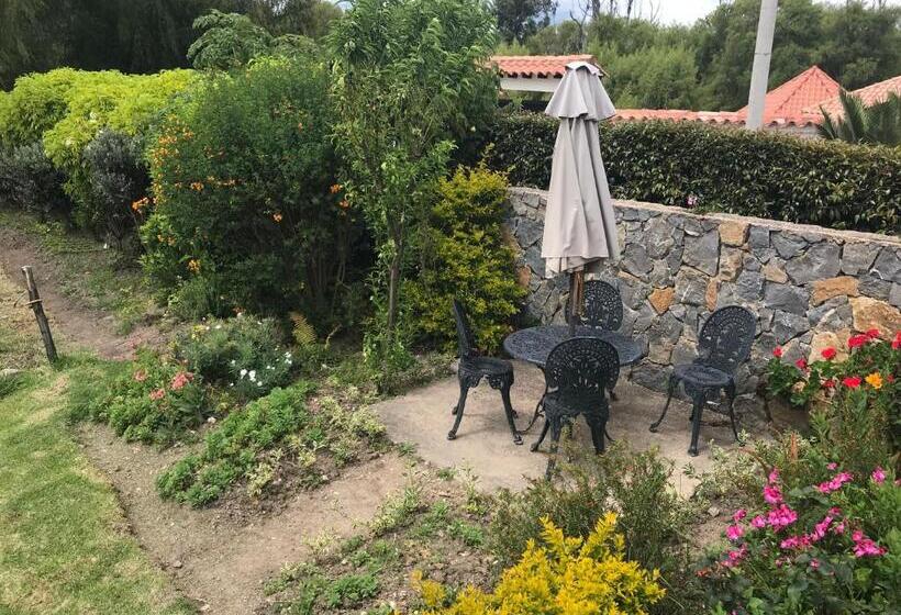 חדר סטנדרט, Casitas Barro Iza Boyaca