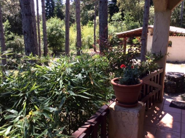 غرفة قياسية مطلّة علي الحديقة, Les Jardins De Valaurie