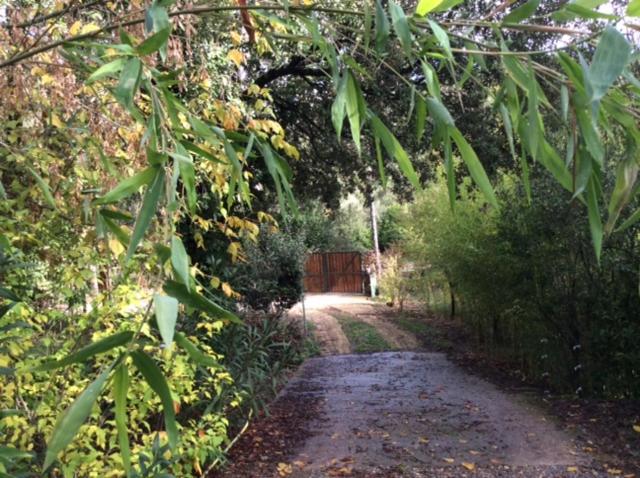 غرفة قياسية مطلّة علي الحديقة, Les Jardins De Valaurie