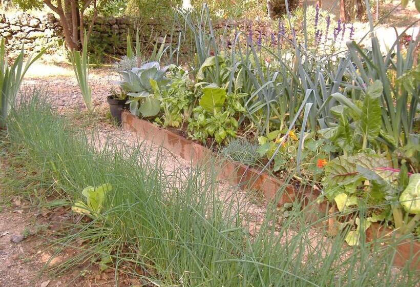 غرفة قياسية مطلّة علي الحديقة, Les Jardins De Valaurie