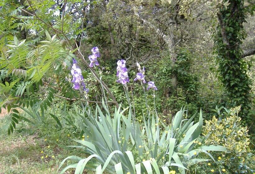غرفة قياسية مطلّة علي الحديقة, Les Jardins De Valaurie