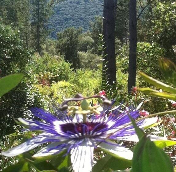 غرفة قياسية مطلّة علي الحديقة, Les Jardins De Valaurie